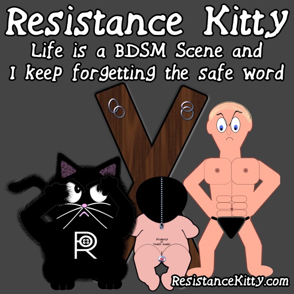 Resistance Kitty says “Life is a BDSM Scene and I keep forgetting the safe word”