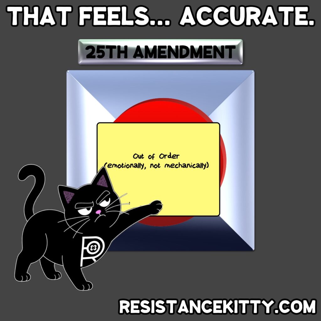 Resistance Kitty says “That feels… accurate.”