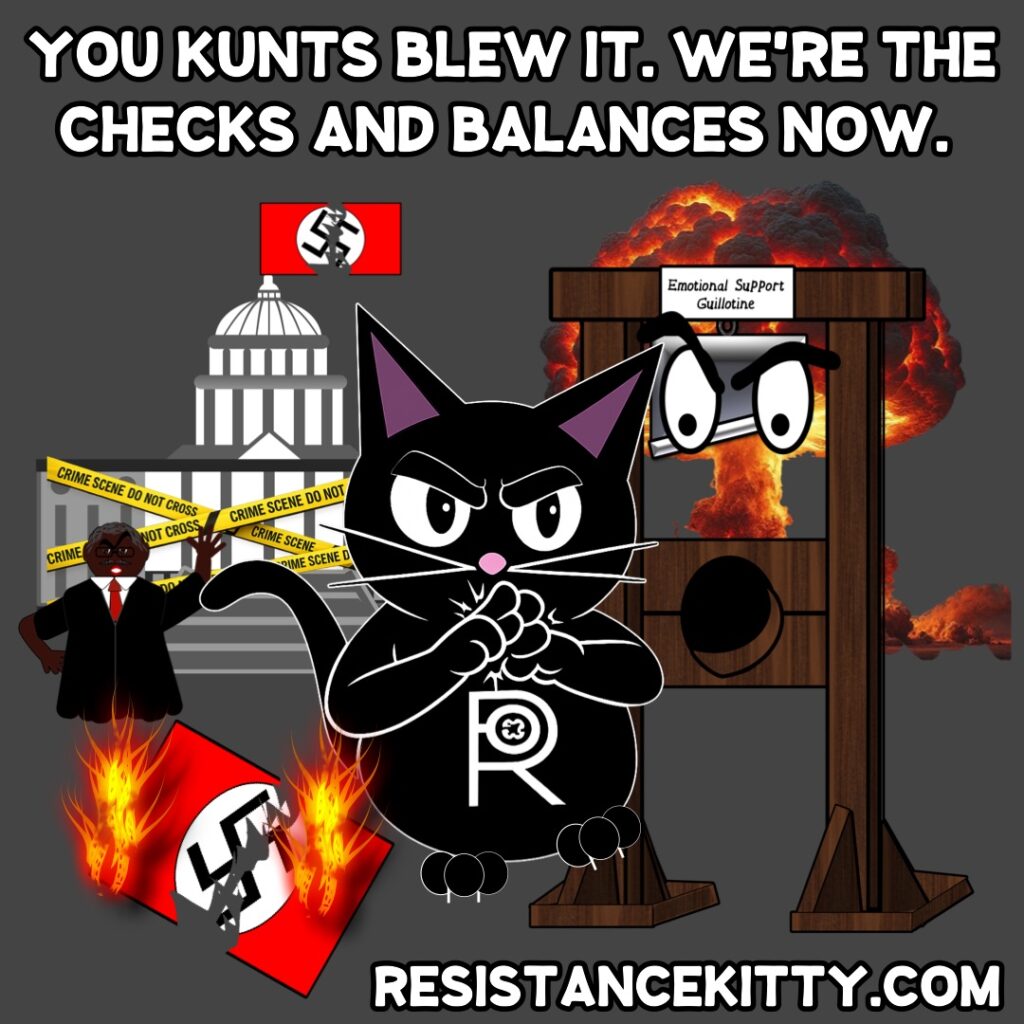 Resistance Kitty says “You hunts blew it. We’re the checks and balances now.”
