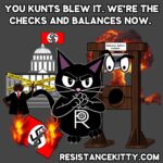 Comic 460 Checks and Balances