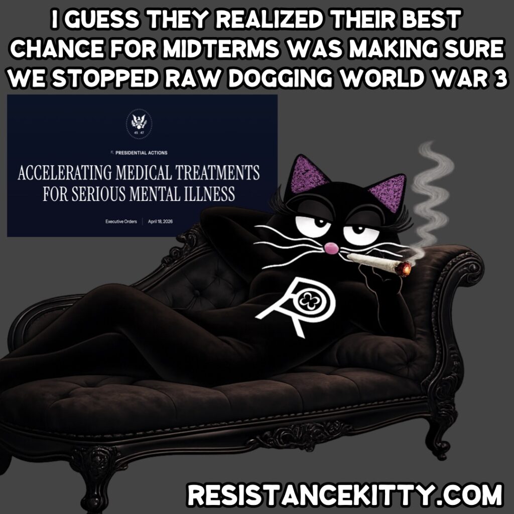 Resistance Kitty says “I guess they realized their best chance for midterms was making sure we stopped raw dogging world war 3”