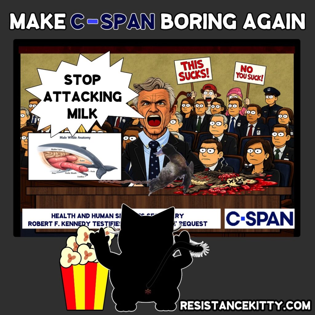 Resistance Kitty says, “Please Make C-Span Boring Again”