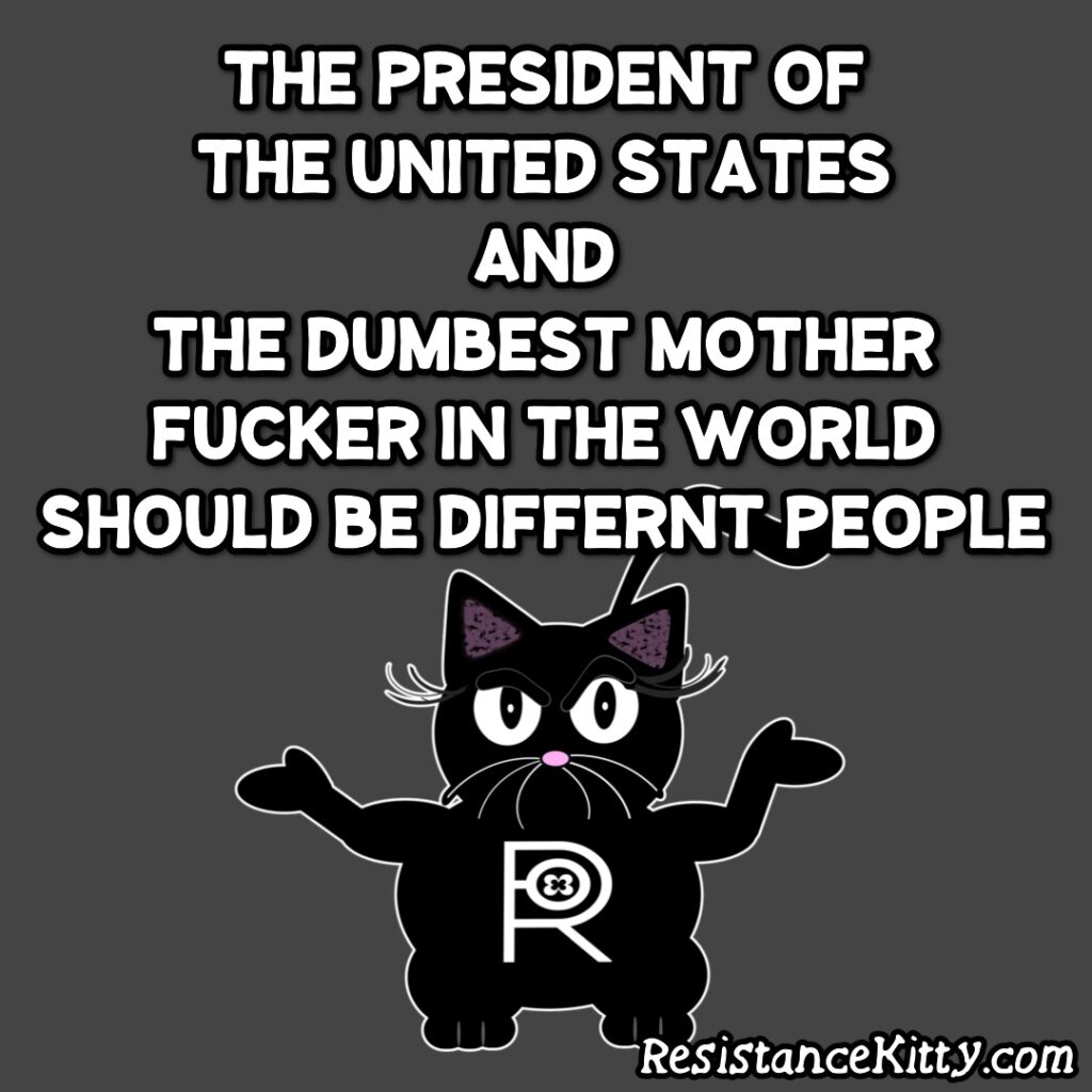 Resistance Kitty says “The president of the United States and the dumbest mother fucker in the world should be different people”