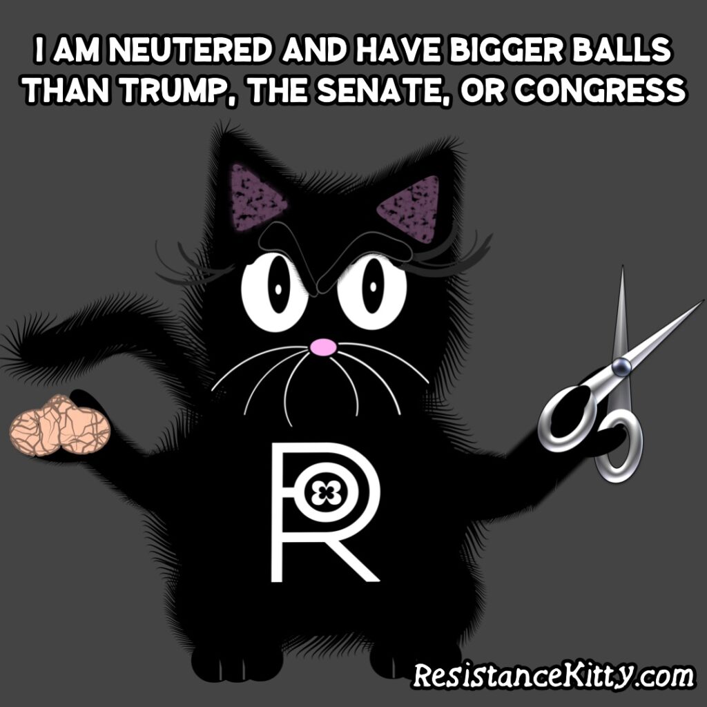 Resistance Kitty says “I am neutered and have bigger balls than Trump, the Senate, or Congress”
