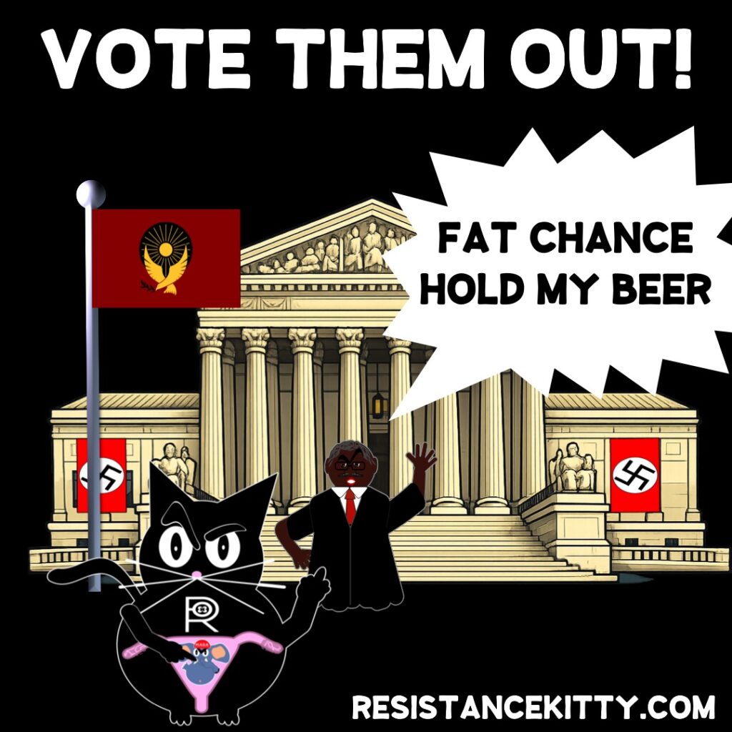 Resistance Kitty says, “Vote them out!” “Fat chance, hold my beer” - SCOTUS