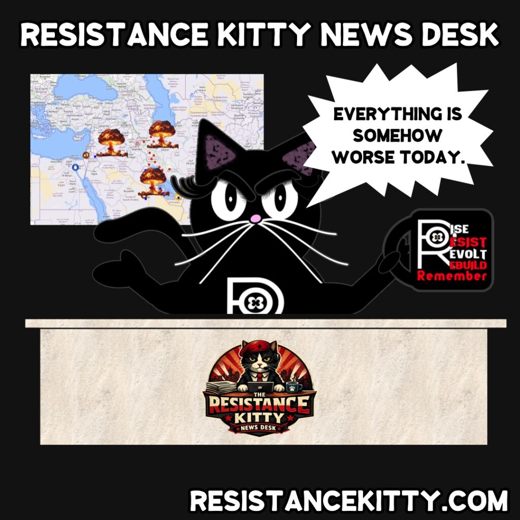 Resistance Kitty says, “Everything is somehow worse today.”
