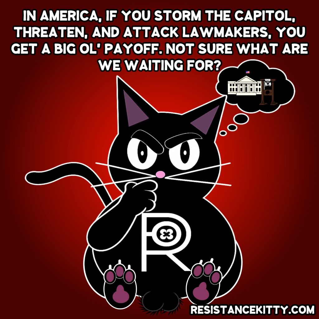 Resistance Kitty says, “In America, if you storm the capitol, threaten, and attack lawmakers, you get a big ol’ payoff. What are we waiting for?”