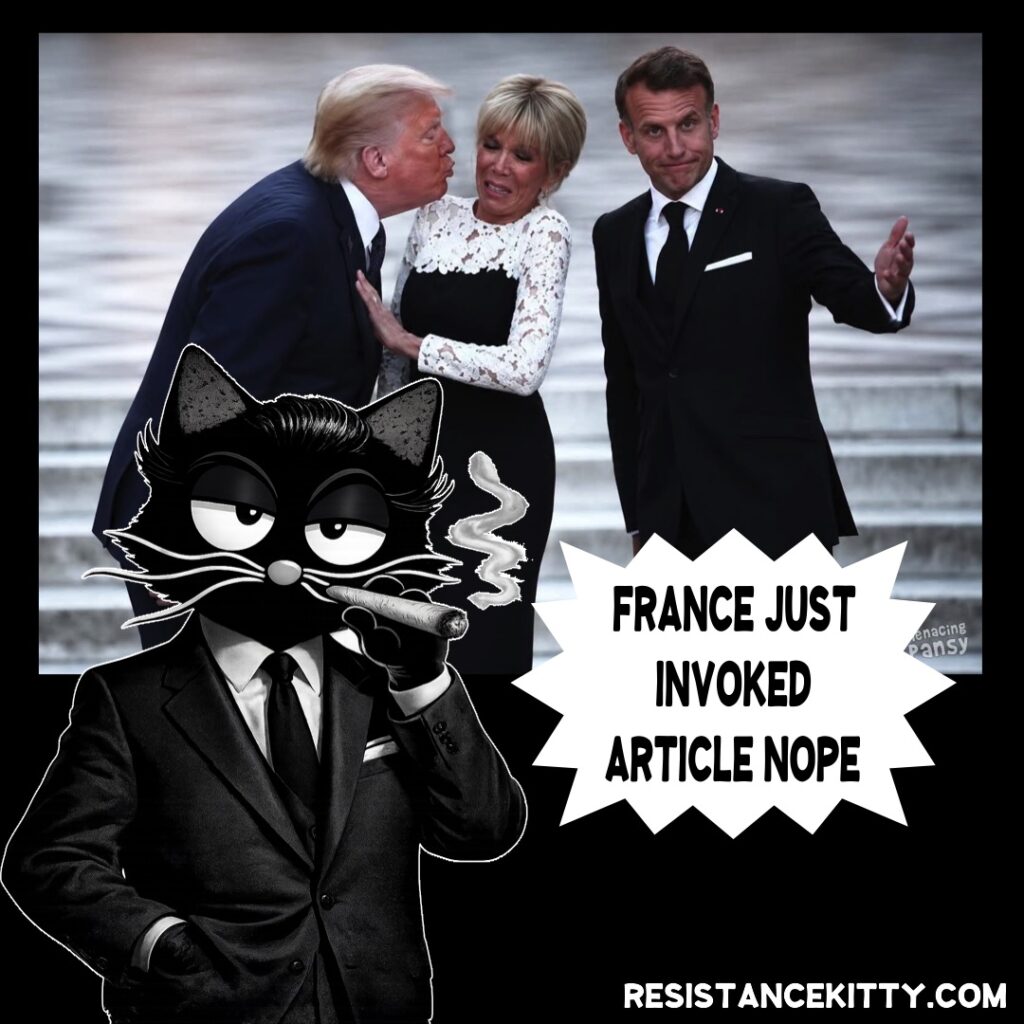 Resistance Kitty says, "France just invoked Article Nope."