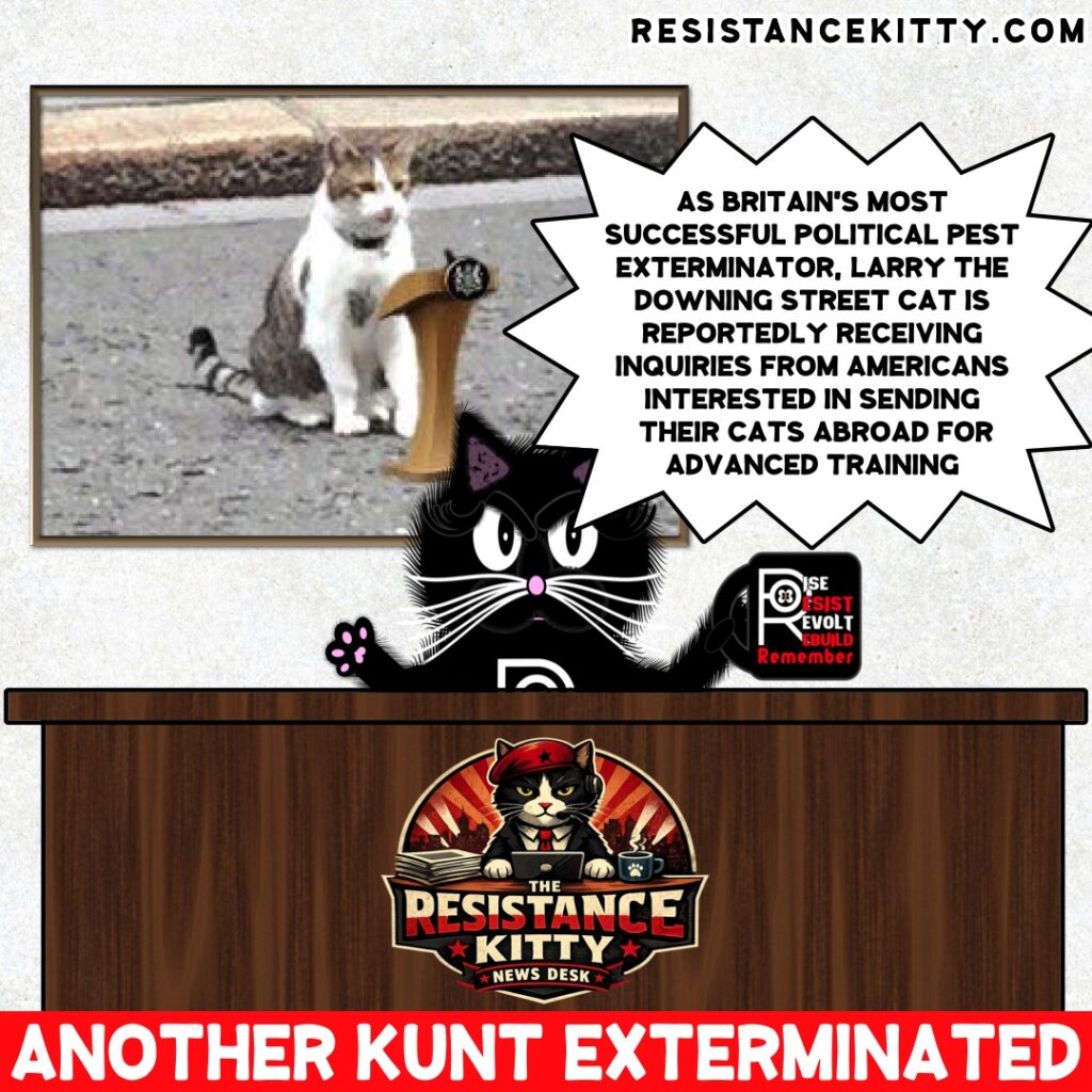 Resistance Kitty says, “As Britain's most successful political pest exterminator, Larry the Downing Street Cat is reportedly receiving inquiries from Americans interested in sending their cats abroad for advanced training”