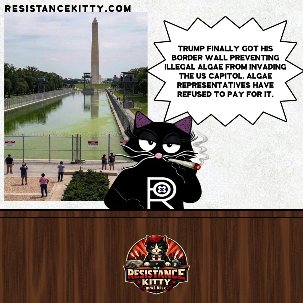 Resistance Kitty says “Trump finally got his border wall preventing illegal algae from invading the US Capitol. Algae representatives have refused to pay for it.