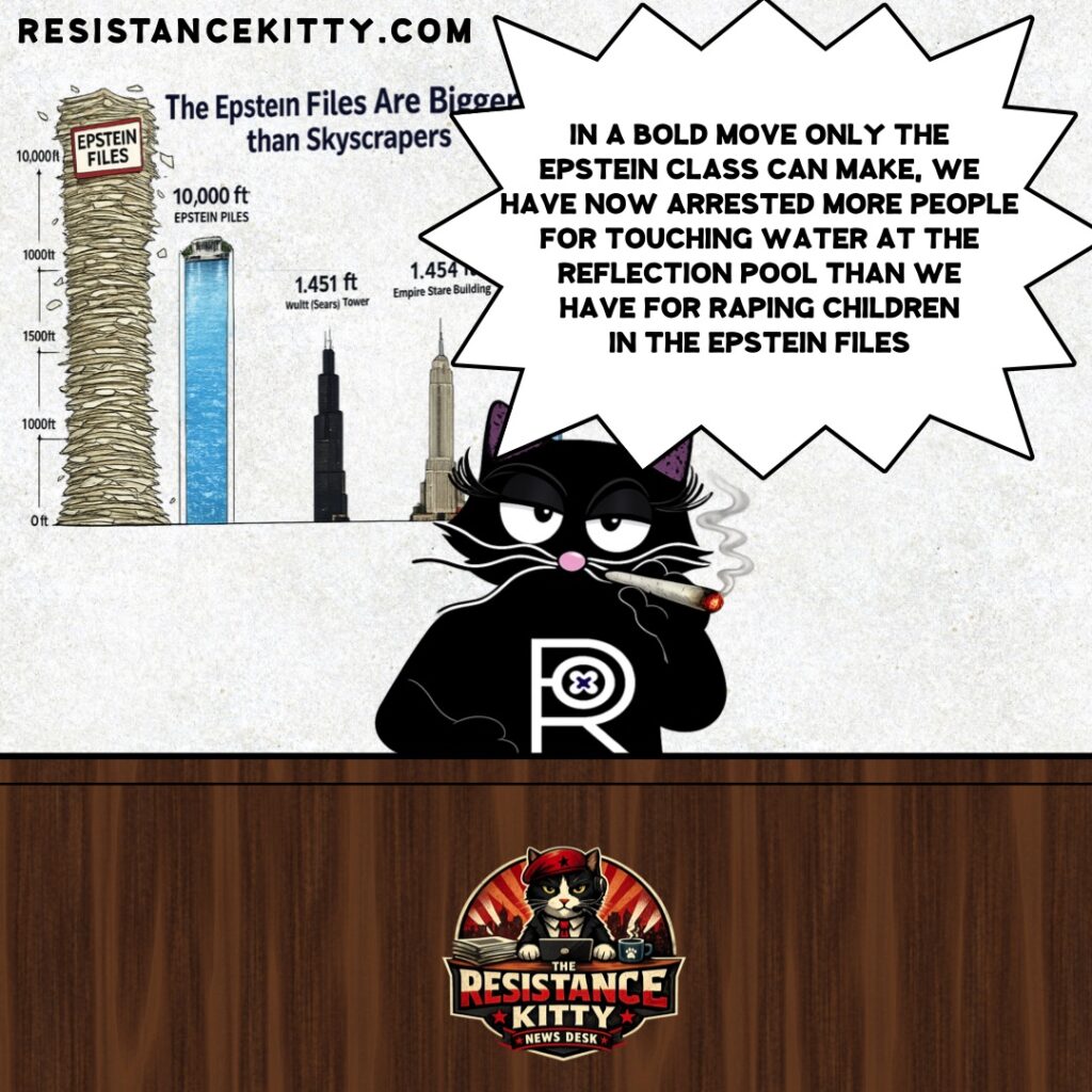 Resistance Kitty says, “In a bold move only The Epstein Class can make, We have now arrested more people for touching water at the reflection pool than we have for raping children in the Epstein Files.”