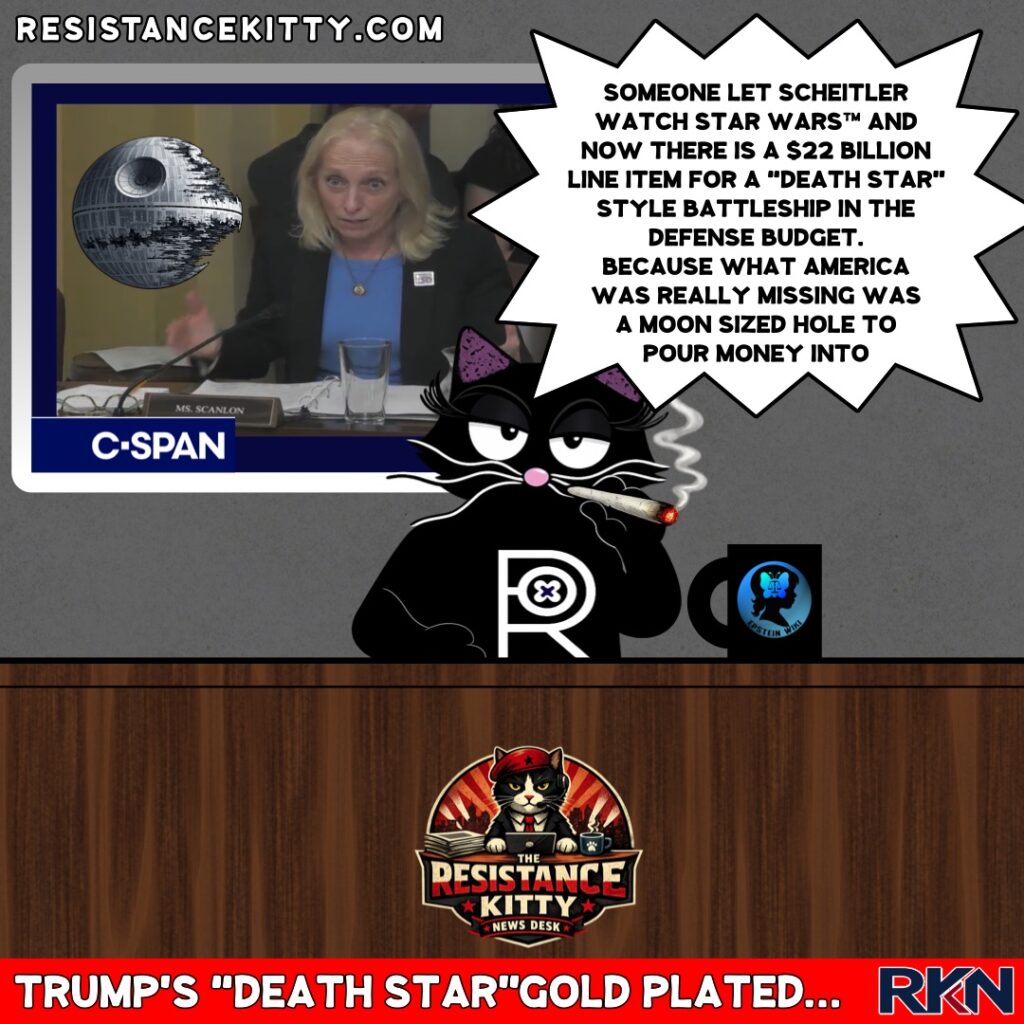 Resistance Kitty says, ‘Someone let Scheitler watch star wars™ and now there is a $22 billion line item for a “death star” style battleship in the defense budget. Because what America was really missing was a moon sized hole to pour money into.”