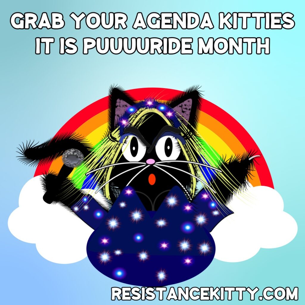 Resistance Kitty says, “Grab Your Agenda Kitties It is Puuuuride Month”