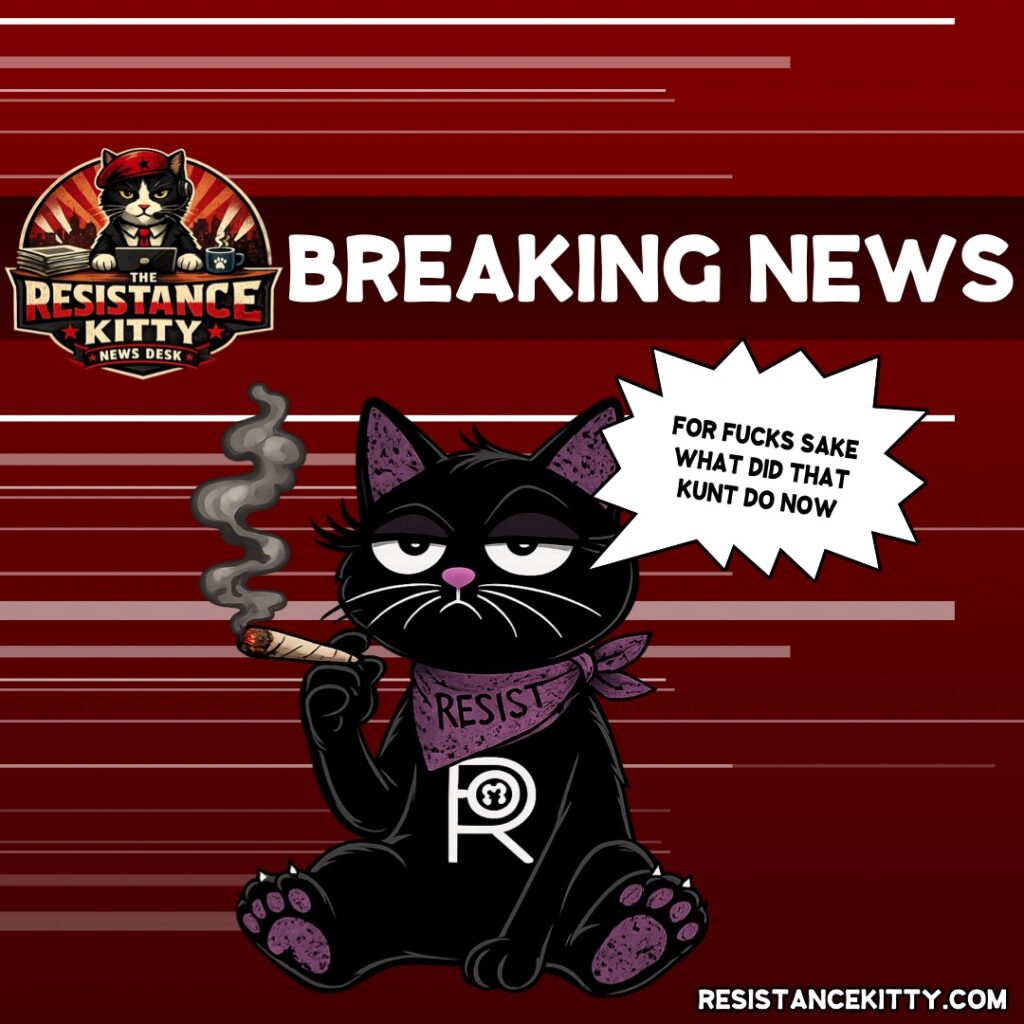 Resistance Kitty says, “For Fucks Sake what did that kunt do now?”