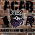 Day 504 ACAB