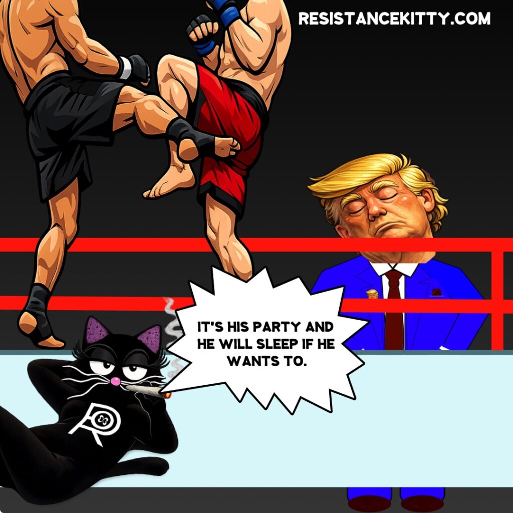 Resistance Kitty says, “It’s his party and he’ll sleep if he wants to”