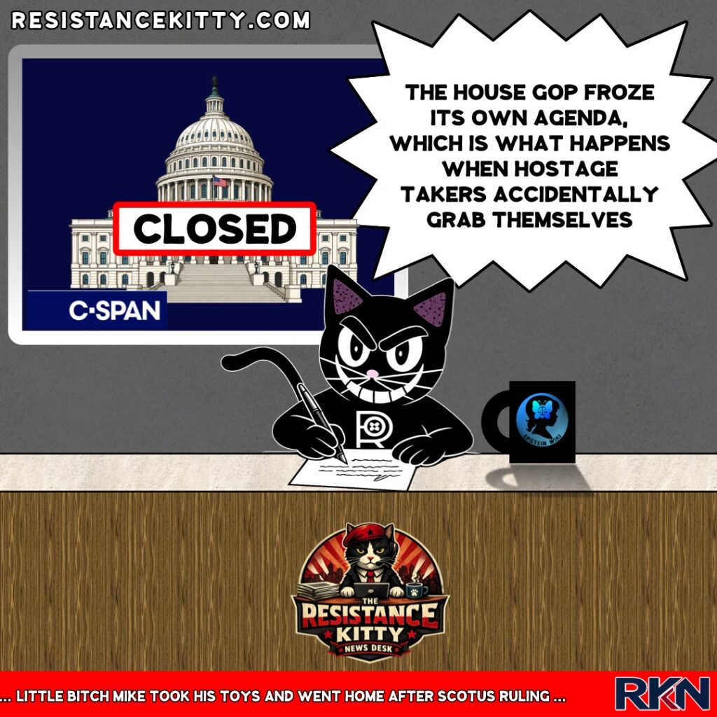 Resistance Kitty says, “The House GOP froze its own agenda, which is what happens when hostage takers accidentally grab themselves”