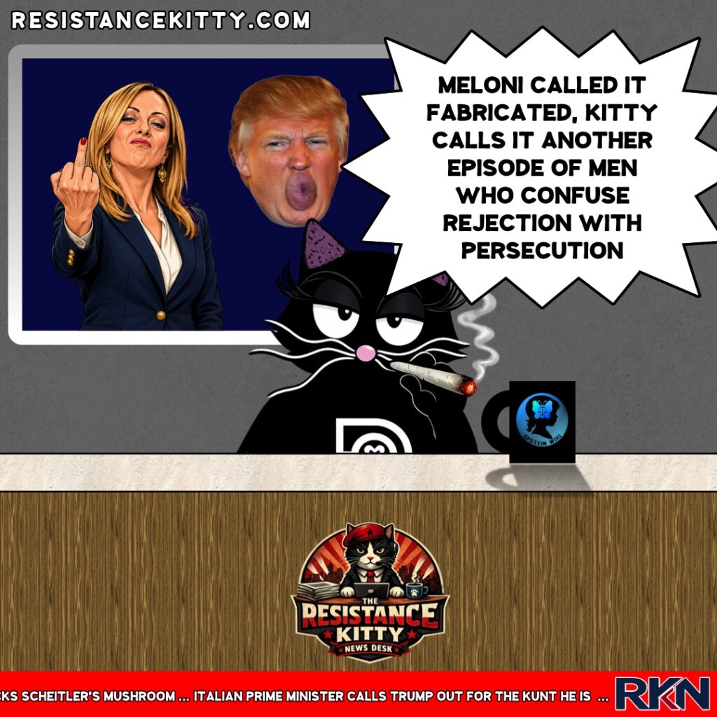 Resistance Kitty says, “ MELONI CALLED IT FABRICATED, KITTY CALLS IT ANOTHER EPISODE OF MEN WHO CONFUSE REJECTION WITH PERSECUTION”