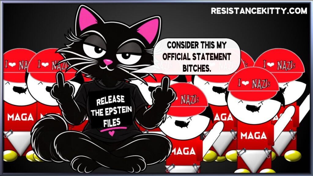 Resistance Kitty says, “CONSIDER THIS MY OFFICIAL STATEMENT BITCHES.”